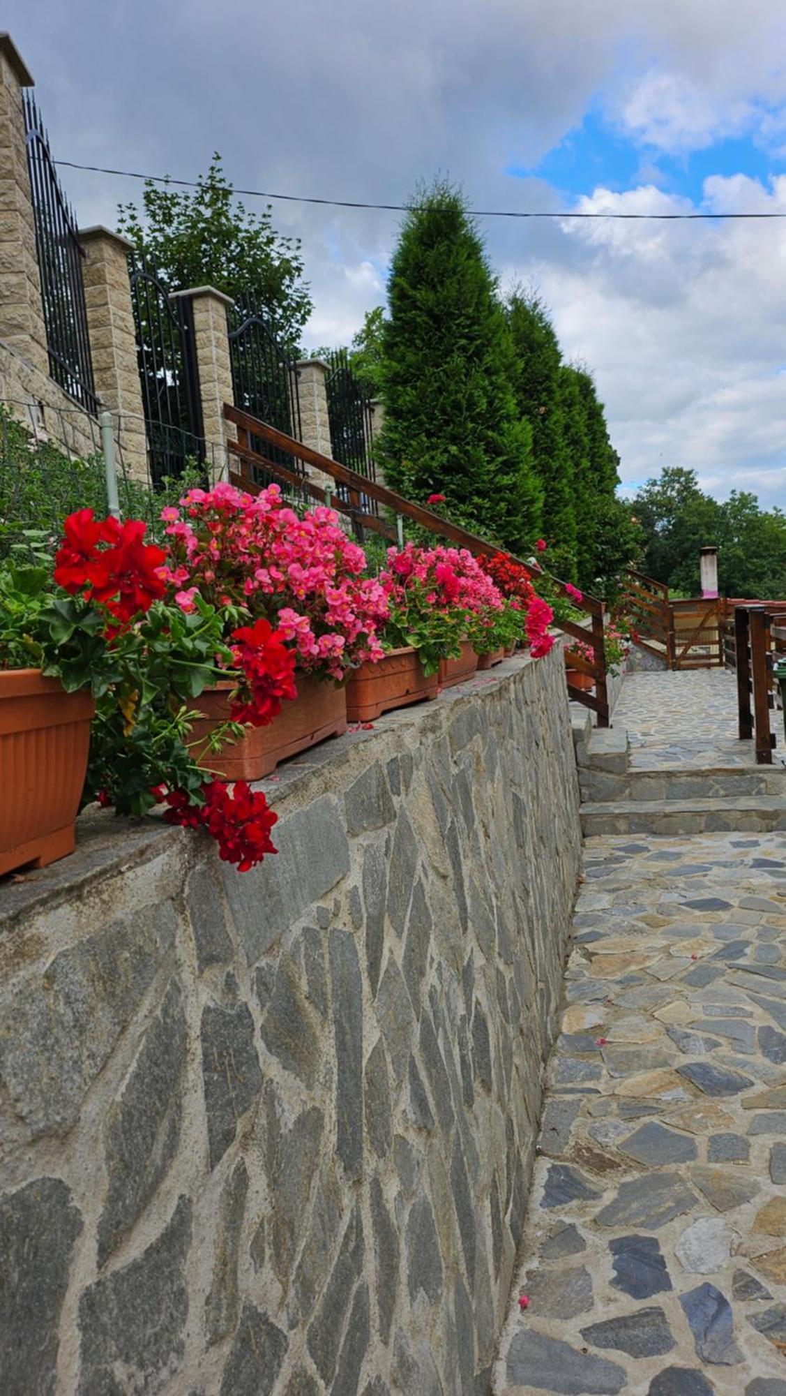 Matei Residence Braşov Exterior foto